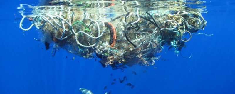 Marina dei Cesari e Clean Sea Life insieme per un mare più pulito